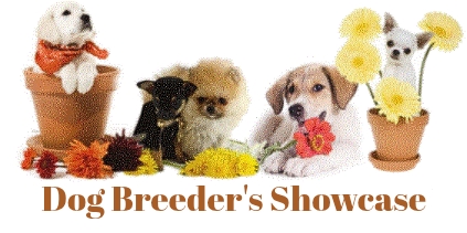 Dog Breeder's Showcase